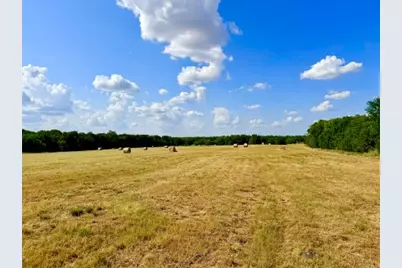 Tbd Cr 2145, Cooper, TX 75432 - Photo 11