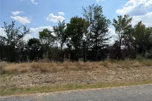 Lot 5 Co Rd 1110, Farmersville, TX 75442 - Photo 1