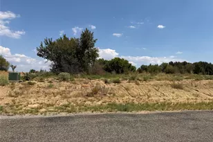 Lot 6 Co Rd 1110, Farmersville, TX 75442 - Photo 1