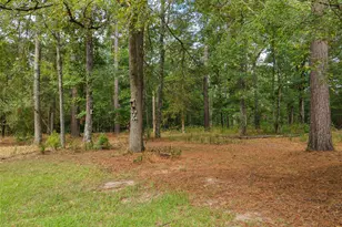 1875 Co Rd 1577, Hughes Springs, TX 75656 - Photo 9