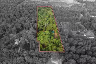1875 Co Rd 1577, Hughes Springs, TX 75656 - Photo 3