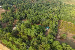 1875 Co Rd 1577, Hughes Springs, TX 75656 - Photo 5