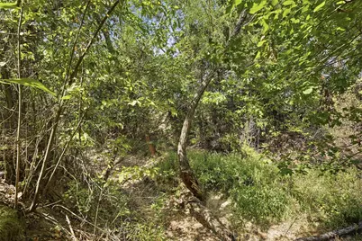 3703 Holbrook Road, Springtown, TX 76082 - Photo 9