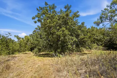 3703 Holbrook Road, Springtown, TX 76082 - Photo 5