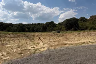 Lot 8 Co Rd 1110, Farmersville, TX 75442 - Photo 1