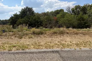 Lot 10 Co Rd 1110, Farmersville, TX 75442 - Photo 1