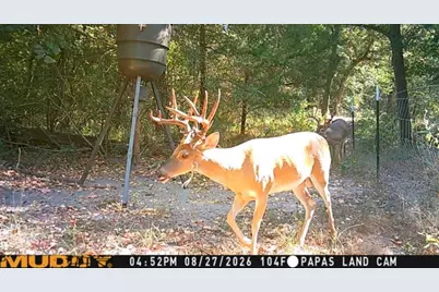9217 Fm 1861, Eustace, TX 75124 - Photo 5