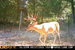 9217 Fm 1861, Eustace, TX 75124 - Photo 5