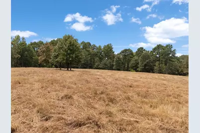Tbd Silk Tree Road, Gilmer, TX 75645 - Photo 3