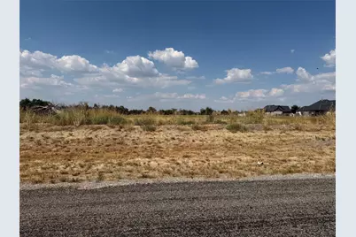 Lot 19 Co Rd 1110, Farmersville, TX 75442 - Photo 3