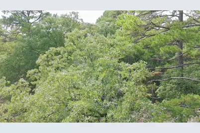 115 Private Road 7533, Hawkins, TX 75765 - Photo 5