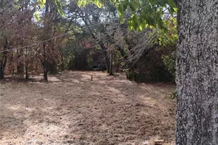 909 Live Oak St, Lake Bridgeport, TX 76426 - Photo 17