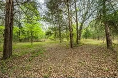 12770 E US 175 E, LaRue, TX 75770 - Photo 9