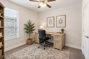 11233 Gold Pan Trail, Aubrey, TX 76227 - Photo 19