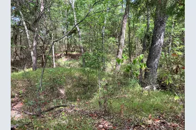 Tbd County Road 4758, Sulphur Springs, TX 75482 - Photo 9