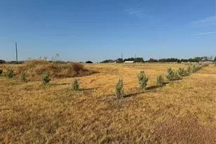 115 County Road 4524 St, Whitewright, TX 75491 - Photo 1