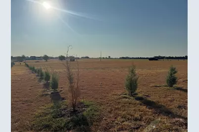 115 County Road 4524 Street, Whitewright, TX 75491 - Photo 3