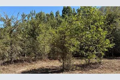 920 County Road 1226, Quitman, TX 75783 - Photo 17