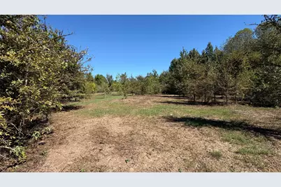 920 County Road 1226, Quitman, TX 75783 - Photo 7