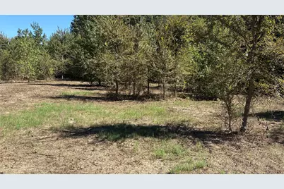 920 County Road 1226, Quitman, TX 75783 - Photo 9
