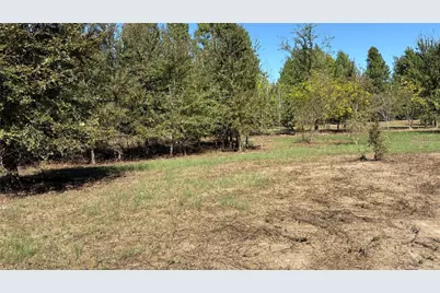 920 County Road 1226, Quitman, TX 75783 - Photo 1