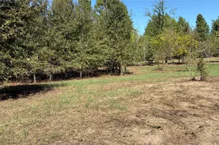 920 Co Rd 1226, Quitman, TX 75783 - Photo 1