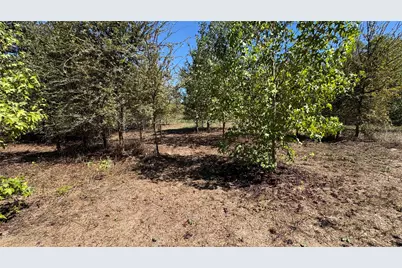 920 County Road 1226, Quitman, TX 75783 - Photo 5