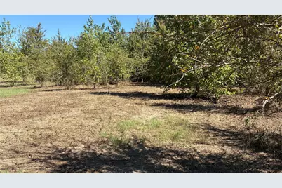 920 County Road 1226, Quitman, TX 75783 - Photo 11