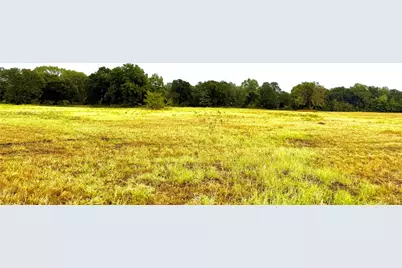 Tbd Tract D Fm 513  Tx, Point, TX 75453 - Photo 5