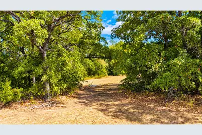 109 Bear Cat Court, Alvord, TX 76225 - Photo 33