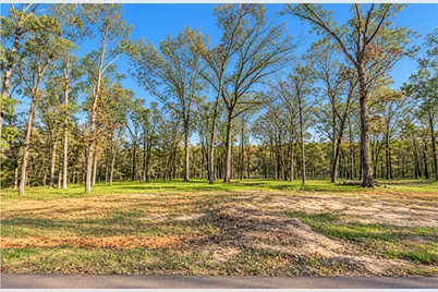 Lot 55 Private Road 52415, Leesburg, TX 75451 - Photo 3