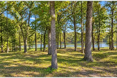 Lot 55 Private Road 52415, Leesburg, TX 75451 - Photo 1