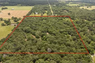 404 Pr 6227, Canton, TX 75103 - Photo 3
