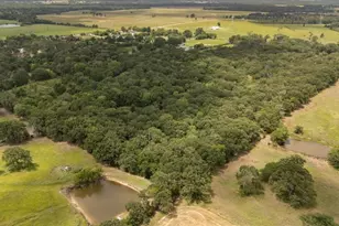 404 Pr 6227, Canton, TX 75103 - Photo 5