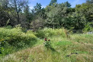 157 Fcr, Fairfield, TX 75840 - Photo 17