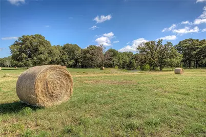 3812 County Road 120, Wills Point, TX 75169 - Photo 13