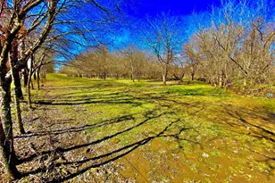 9507 County Rd 513, Alvarado, TX 76009 - Photo 1