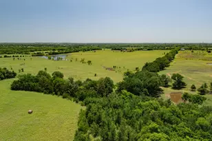 12099 Co Rd 1028, Blue Ridge, TX 75424 - Photo 35