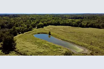 000 Vz County Road 2918, Eustace, TX 75124 - Photo 11