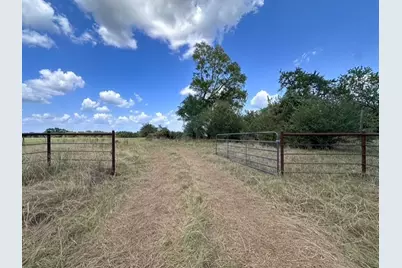 0 An County Road 437, Frankston, TX 75763 - Photo 1