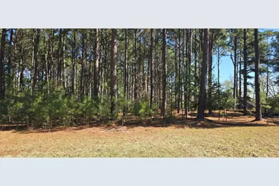 8300 Trophy Point, LaRue, TX 75770 - Photo 3