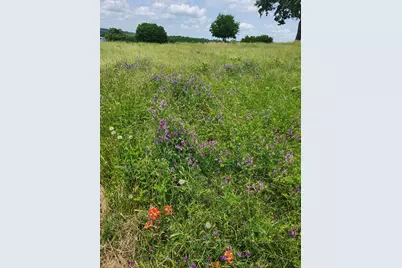 [Address not provided], Athens, TX 75752 - Photo 7