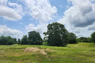 [Address not provided], Athens, TX 75752 - Photo 3