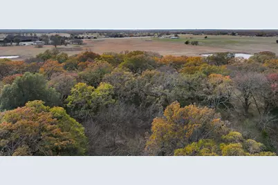 Tba Hwy 24 South, Klondike, TX 75448 - Photo 13