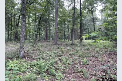 1688 County Road 1597, Avinger, TX 75630 - Photo 17