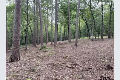 1688 County Road 1597, Avinger, TX 75630 - Photo 13
