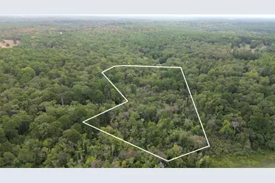 1688 County Road 1597, Avinger, TX 75630 - Photo 23