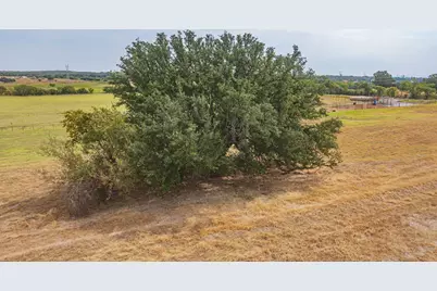Tbd Stylish Oak Court #Lot 15, Poolville, TX 76487 - Photo 9