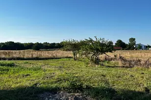 2025 Co Rd, Bonham, TX 75418 - Photo 25