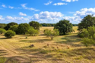 1098 Paradise Pkwy, Poolville, TX 76487 - Photo 33